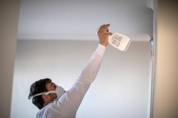 Best Professional Mold Removal  in Glen Raven, NC