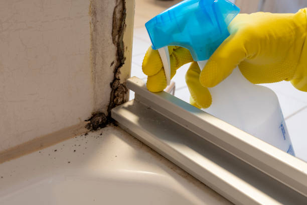 Best Mold Testing  in Glen Raven, NC