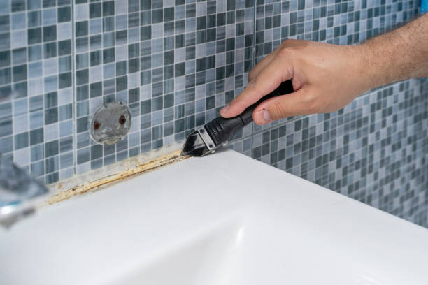 Best Residential Mold Removal  in Glen Raven, NC