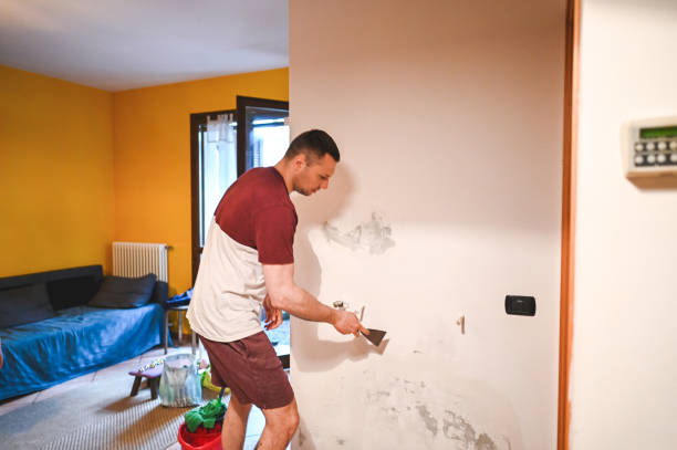 Best Commercial Mold Removal  in Glen Raven, NC